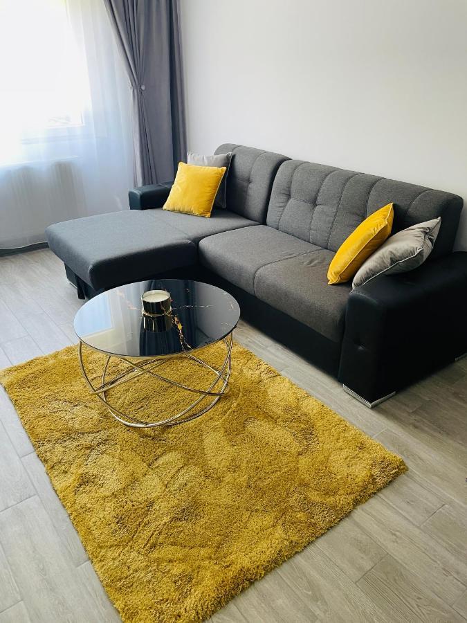 Timisoara Central Apartment New Parking !! Экстерьер фото
